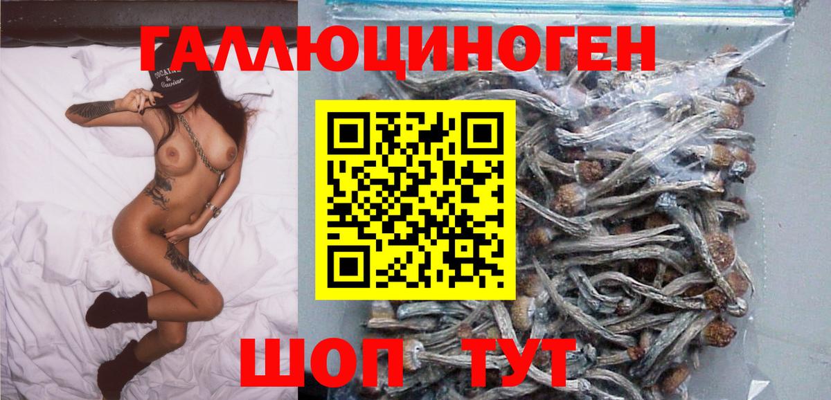 Псилоцибиновые грибы прущие грибы Псков